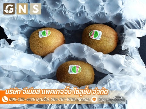 จีเนียส แพคเกจจิ้ง โซลูชั่น (7)